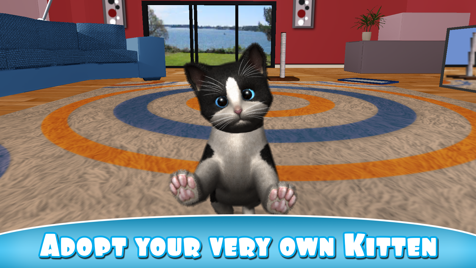 Daily Kitten Kucing Maya Apl Android Di Google Play