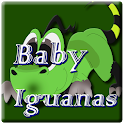Baby Iguanas Manual logo