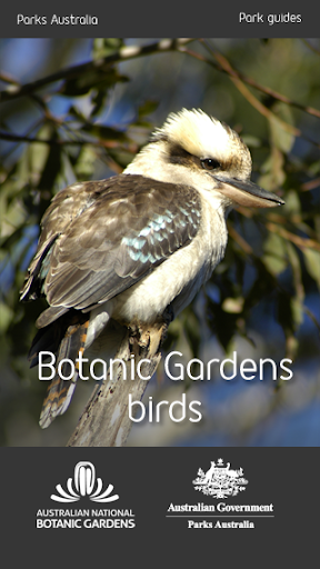 ANBG Birds