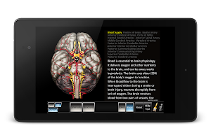 Cerebrum ID APK צילום מסך #13