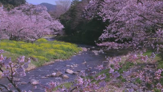 How to mod Spring River Live WallPaper patch 1.0.7 apk for android