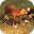 Grizzly Bear Attack 3D Download on Windows