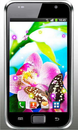 Orchid Photo live wallpaper