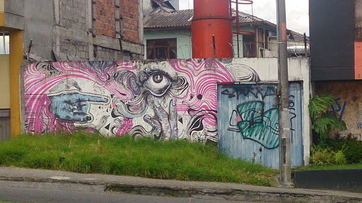 Vista Inaudita Graffiti