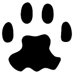 PAW Server for Android Apk