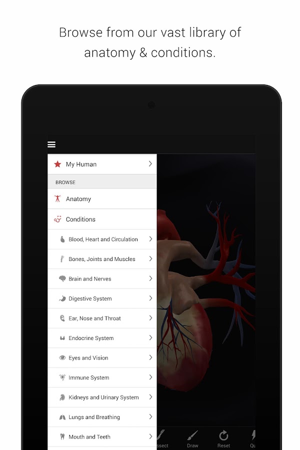    BioDigital Human - 3D Anatomy- screenshot  
