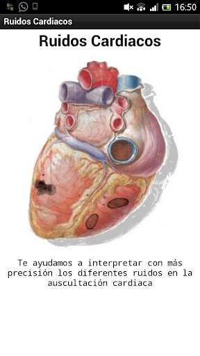 【免費醫療App】Sonidos Cardiacos-APP點子