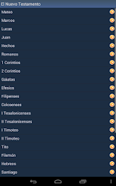 Spanish Holy Bible poster 14