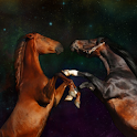 Horse Star Theme GO Launcher logo