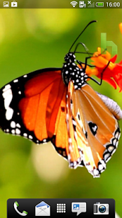 Butterfly Free Homescreen
