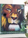 Street Art Lion