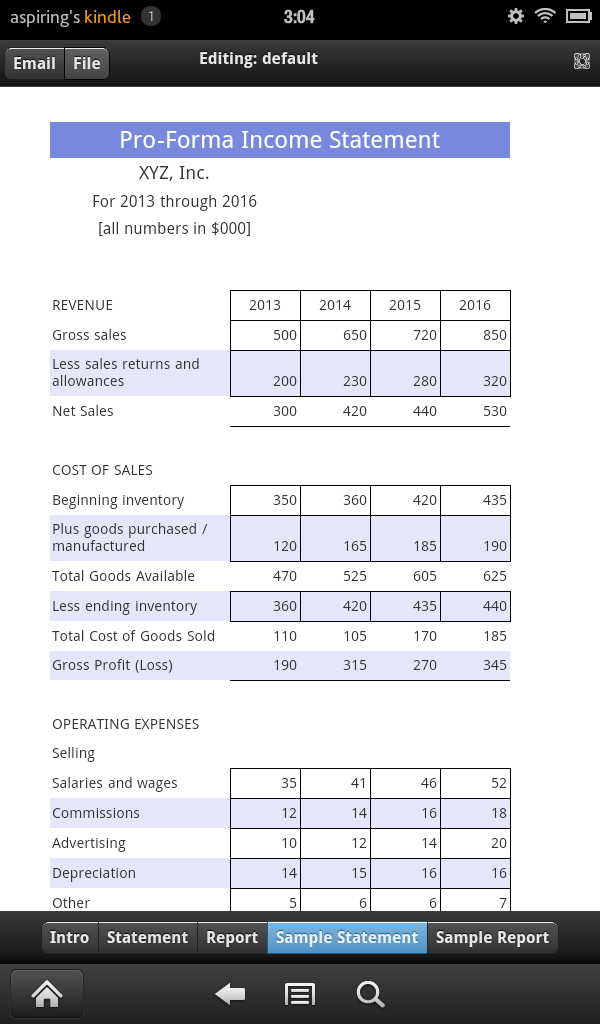 Proforma Income Statement Screen 3