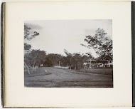 Gezicht op Sennah Allee, Tandjong Poera, Sumatra (Sennah Allee Tandjong Poera)