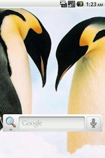 How to download Penguins Live Wallpaper patch 3.1 apk for pc