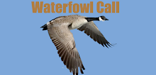Waterfowl Call APK