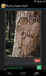 أسماء مصورة و مزخرفة poster 4