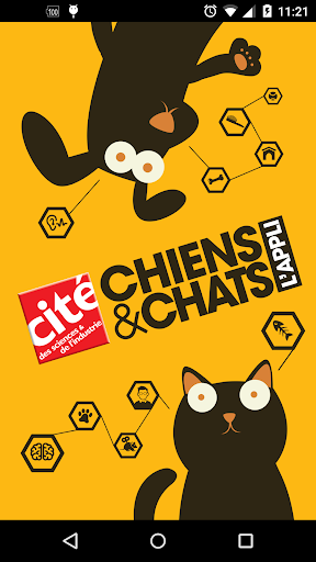 Chiens Chats