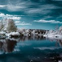 Winter Miracle: Live Wallpaper logo