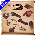 Dinosaur Hunt Apk