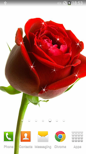 Free Download Rose Live Wallpaper APK for Android