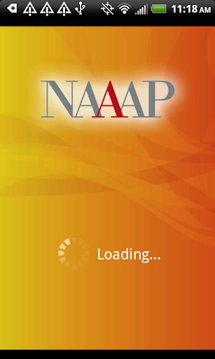 NAAAP 2013