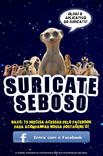 Suricate Seboso
