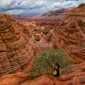 The Wave after Rain by Michael Otter - Landscapes Mountains & Hills