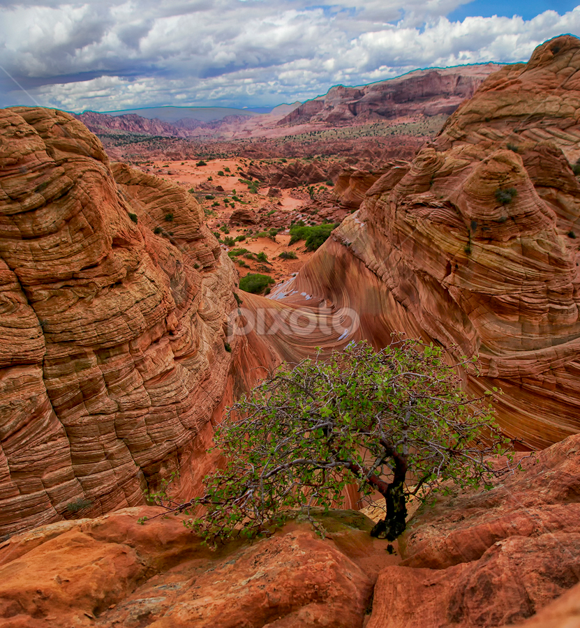 The Wave after Rain by Michael Otter - Landscapes Mountains & Hills
