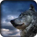 Wolf Wallpapers Apk