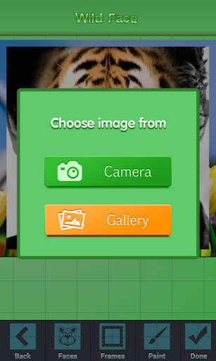 【免費攝影App】Wild Face-APP點子