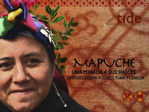 Cultura y Educación Mapuche