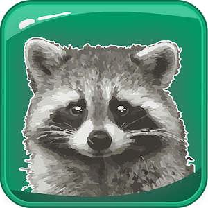 Animals: Quiz.apk 1.2