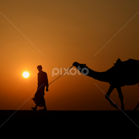 To Home... by Saurav Chakraborty - Landscapes Deserts