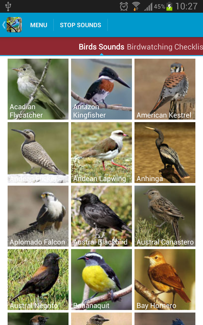 South American Birds Sounds Screen 2