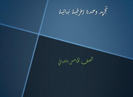 قناة التربية الفنية والتقنية