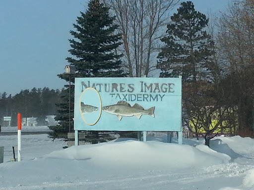 Nature's Image Taxidermy Sign
