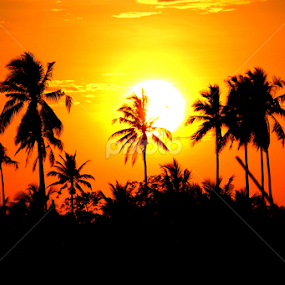 by Nandes Sicknoise - Landscapes Sunsets & Sunrises