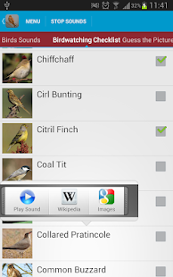 Spanish Birds Sounds Screenshots 18