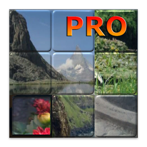 Puzzle 3D Blocks PRO