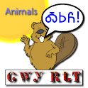 Cherokee Language Animals logo