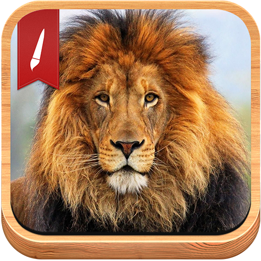 Lion Background LOGO-APP點子