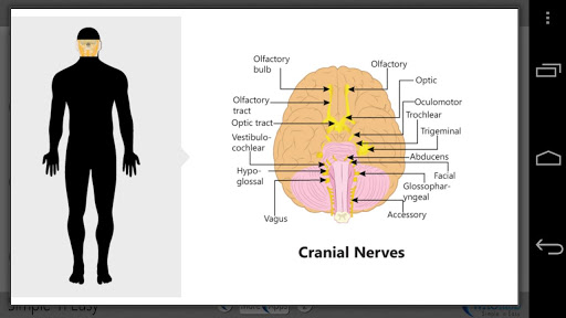 【免費書籍App】Drill Down Anatomy by WAGmob-APP點子