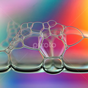 Fragile Beauty by Michael Schwartz - Abstract Macro