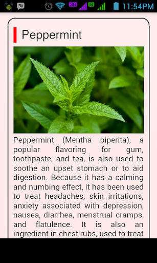 Medicinal Herb And Plants