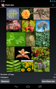 Plants Quiz - for botanists