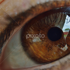by Stephanie Hernandez - Abstract Macro