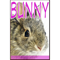 Bunny Flipmag logo
