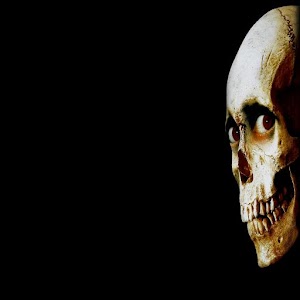 image of terror.apk 1