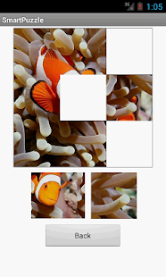 Download Smart Puzzle APK