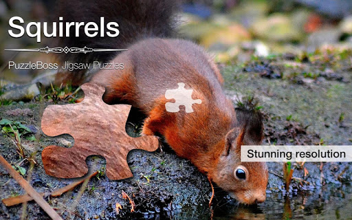 Squirrel Jigsaw Puzzles Demo